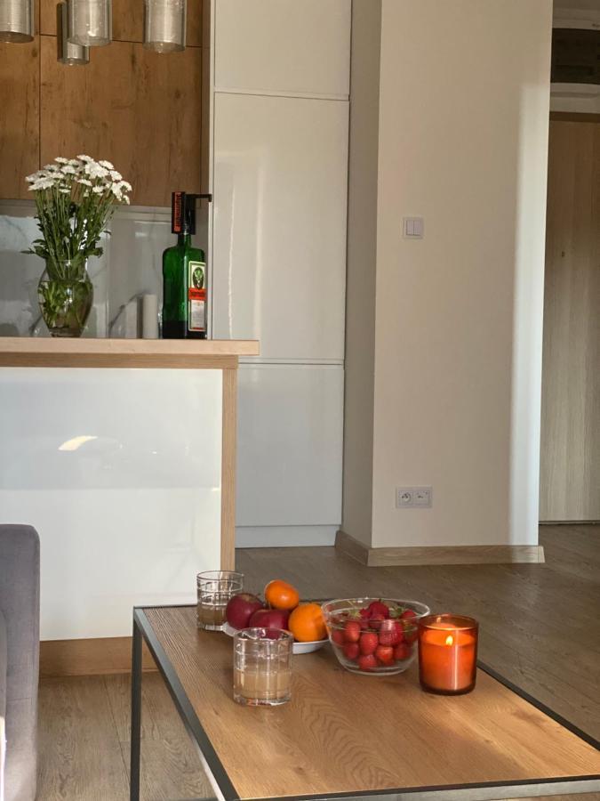 Modern Apartments & Free Parking Gorzow Wielkopolski Luaran gambar